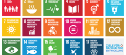SDG Icons